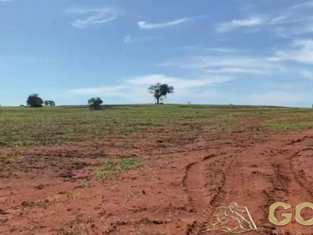 FAZENDA À VENDA REGIÃO DE NOVO SÃO JOAQUIM/MT!