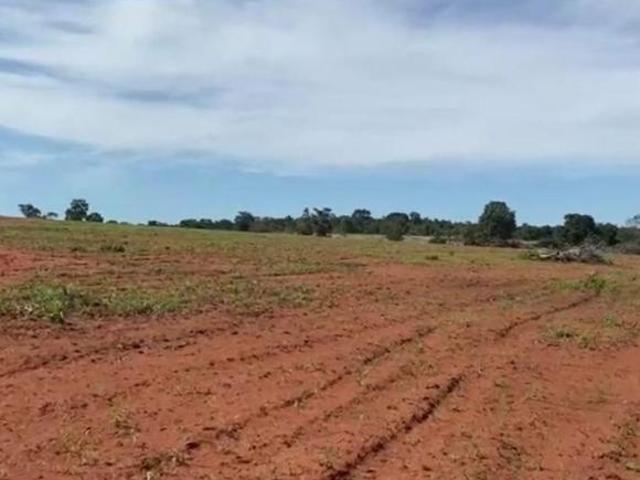 FAZENDA À VENDA REGIÃO DE NOVO SÃO JOAQUIM/MT!