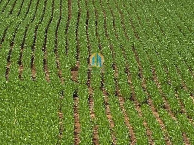 Fazenda à Venda – Região de Brasília/DF