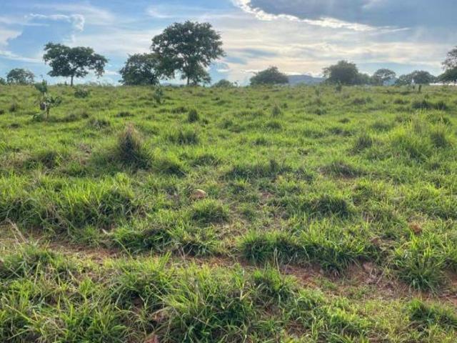 FAZENDA Á VENDA REGIÃO DE TESOURO – MT