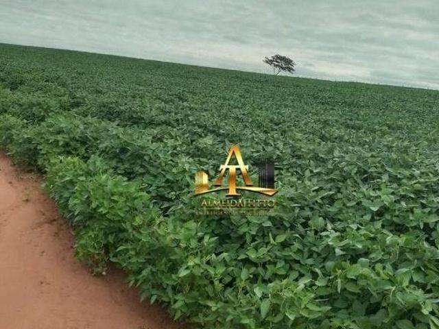 Fazenda à Venda Zona Rural Marília/SP