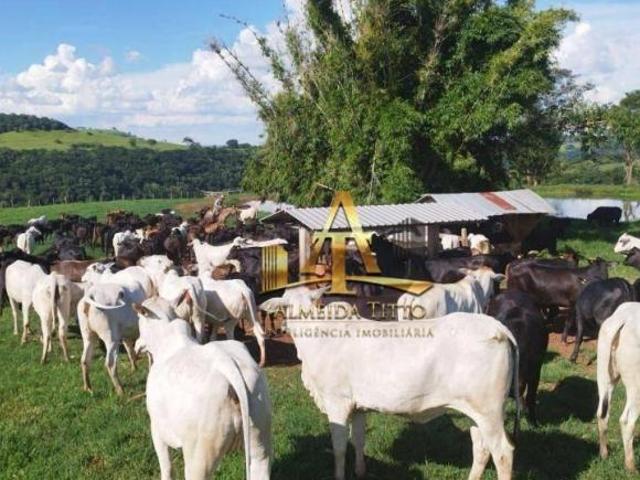 Fazenda à Venda Zona Rural Palmital/PR