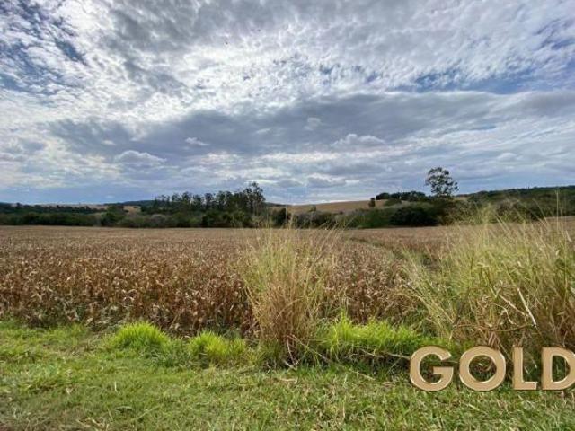 FAZENDA AGRÍCOLA A VENDA ITAMBÉ PR