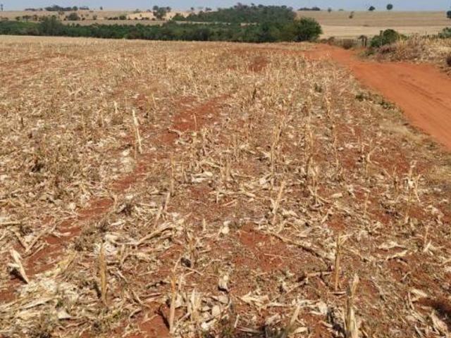 FAZENDA AGRÍCOLA À VENDA OU PERMUTA POR FAZENDA NO PARAGUAI