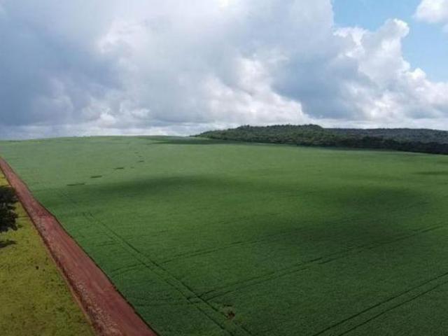 FAZENDA AGRÍCOLA REGIÃO DE PRIMAVERA DO LESTE MT!