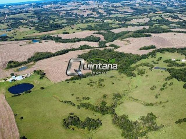 Fazenda Alto Padrão 160ha em Canguçu RS Pronta para Produzir