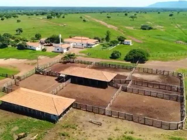 FAZENDA ALVORADA DO NORTE GOIÁS| 8.543 HECTARES, DUPLA APTIDÃO, BR 020 CORTA A FAZENDA