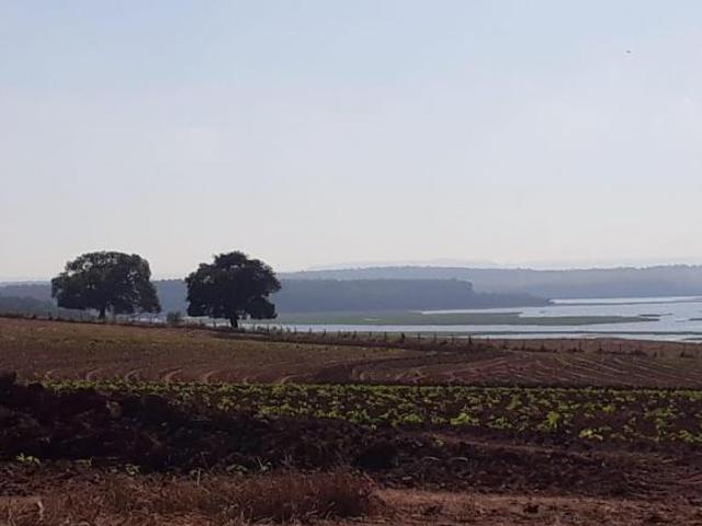 FAZENDA ANHEMBI