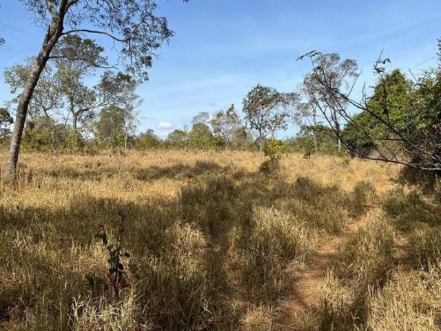 Fazenda, Aptdão: Pecuária, Carvão E Borracha, Curvelo, MG