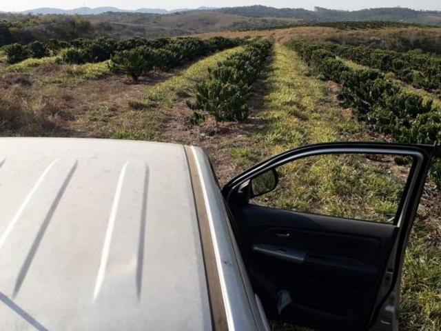 Fazenda, Aptidão: Café E Pecuária, Bom Sucesso, MG