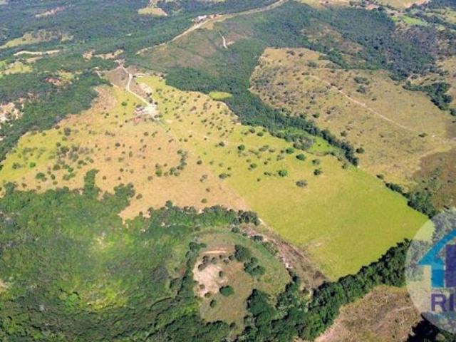 Fazenda, Aptidão: Cultura E Pecuária, Bom Despacho, MG
