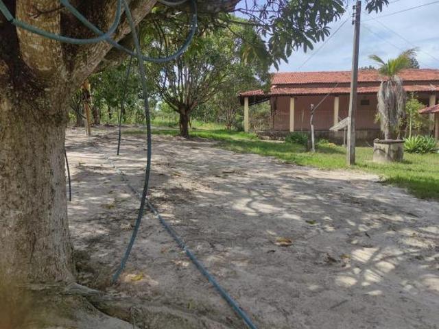 Fazenda, Aptidão: Empreendimenos Imobiliarios E Pecuária, Três Marias, MG
