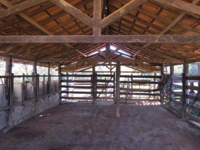 Fazenda, Aptidão: Eucalipto E Lavoura E Pecuária, Santo Hipólito, MG