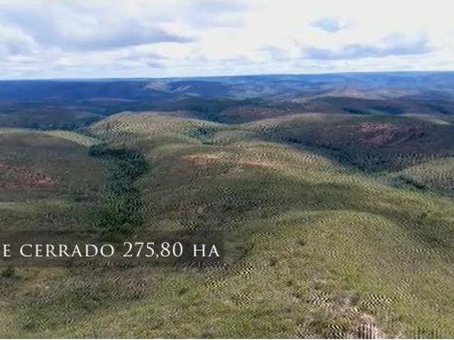 Fazenda, Aptidão: Eucalipto E Pecuária, Itamarandiba, MG