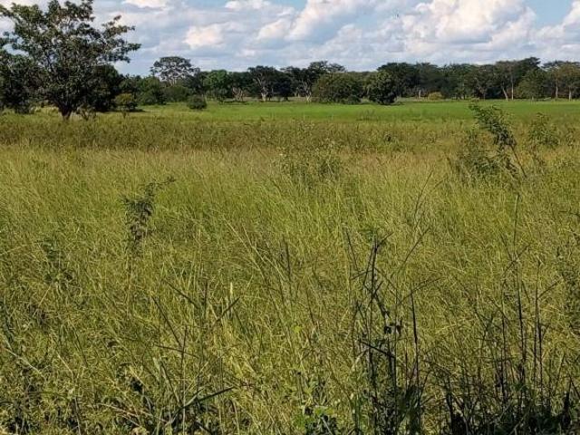 Fazenda, Aptidão Pecuária E Lavoura, Pirapora, MG