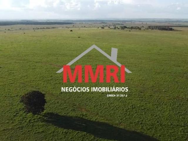 Fazenda, Área Rural, Cáceres, MT