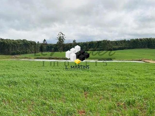 Fazenda Área Rural a Venda em Arroio dos Ratos RS Lavoura Pecuária