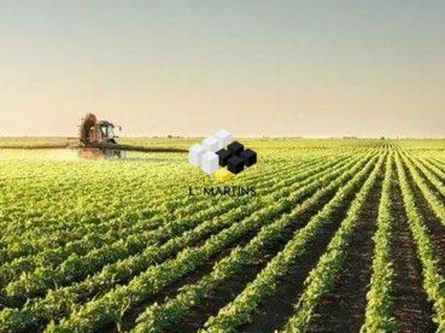 Fazenda Área Rural a Venda em Camaquã RS Lavoura