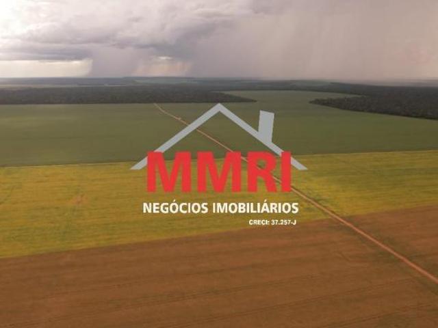 Fazenda, Área Rural, Gaúcha do Norte, MT