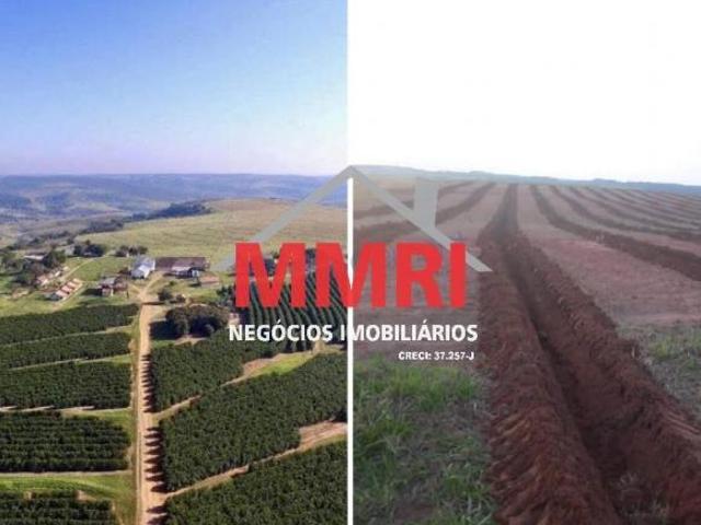 Fazenda, Área Rural, Garça, SP