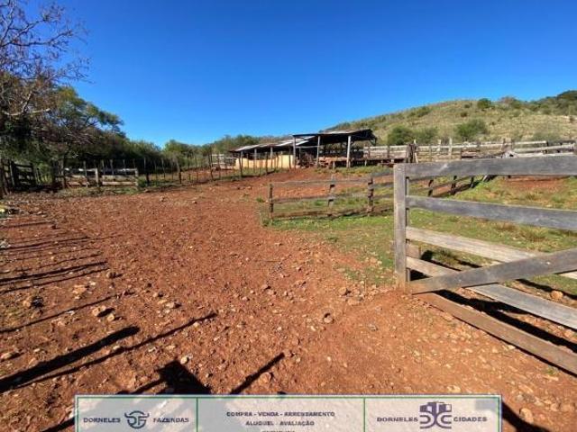 Fazenda, Área Rural, Santiago, RS