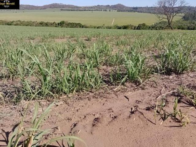 FAZENDA Área total: 435,12 alqueires Município: Santa Rita do Passa Quatro SP