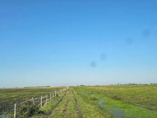 Fazenda Bairro Centro