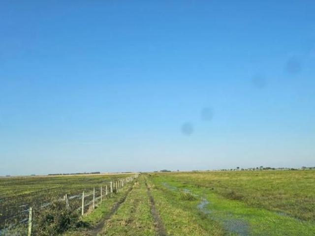 Fazenda Bairro Centro