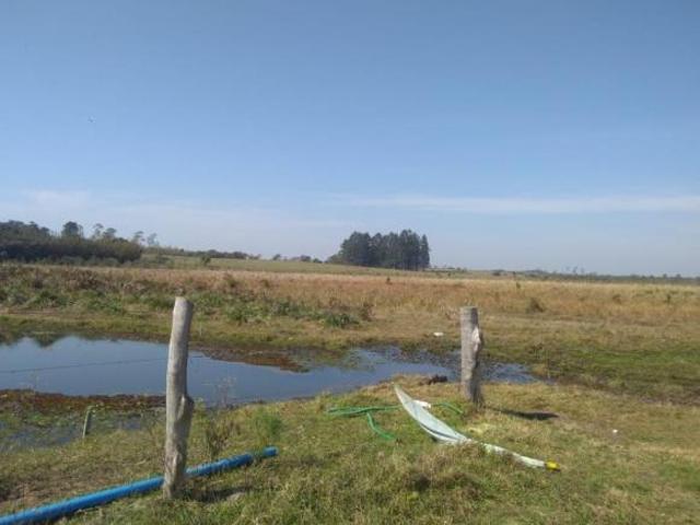 Fazenda Bairro Cornélios
