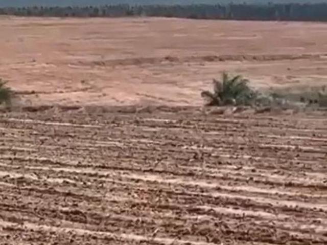 FAZENDA BARRA BONITA