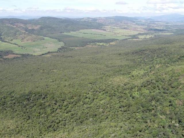 Fazenda Barro Alto Vegetação Nativa Licença Desmatamento