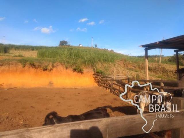 Fazenda bem localizada com 88 alqueires!