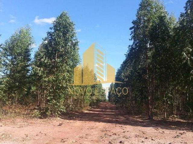 Fazenda Brasilândia de Minas 513 hectares ideal plantio de eucalipto