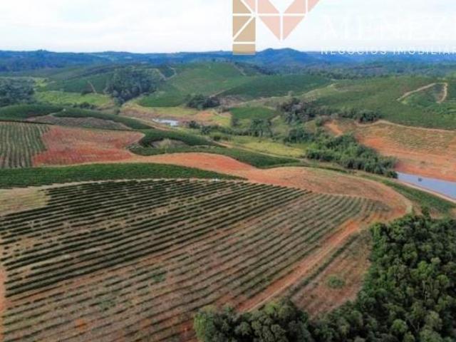 FAZENDA CAFEEIRA À VENDA GUAXUPÉ MG