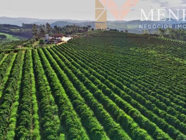 Fazenda cafeeira à venda na região de Machado