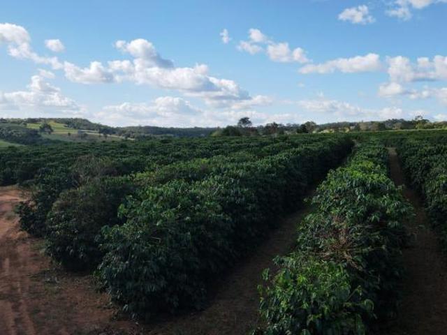 FAZENDA CAFEEIRA COM GRANJA DE SUÍNOS EM PATROCÍNIO/MG