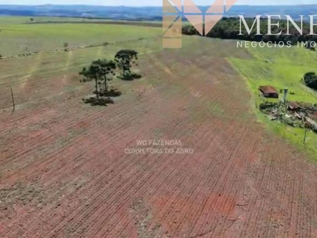 Fazenda, Canjeranus, Passos, MG