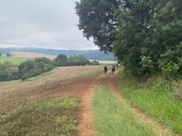 Fazenda, Centro, Tamarana, PR