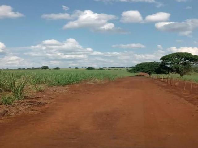Fazenda, Centro, Altinópolis, SP