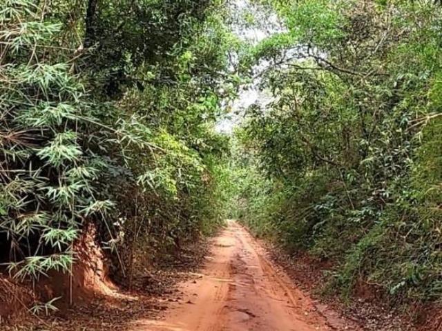 Fazenda, Centro, Assis, SP
