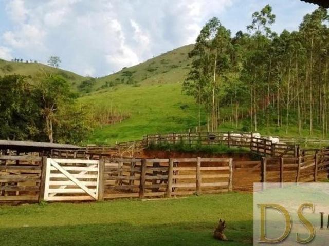 FAZENDA COM 421 ALQUEIRES À VENDA EM ADRIANÓPOLIS/PR: IDEAL PARA PECUÁRIA E COM ÓTIMA LOCALIZAÇÃO!