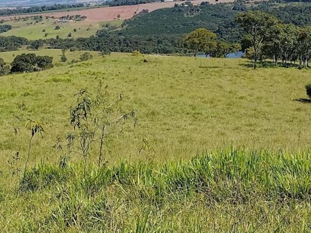Fazenda com 42 Alqueires, Agua, Não Tem Casa, Localização Nobre, Em Frente Ao Asfalto, Sitio Para Cr