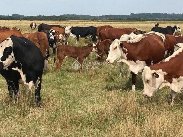 FAZENDA COM 434 HECTARES, ÁGUA EM ABUNDÂNCIA PRÓXIMA STA CRUZ/RS