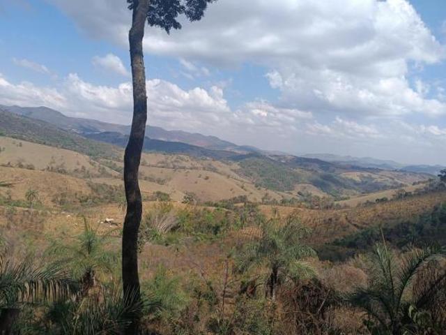Fazenda com 50 hectares lagoas, asfalto na porta e uma vista linda