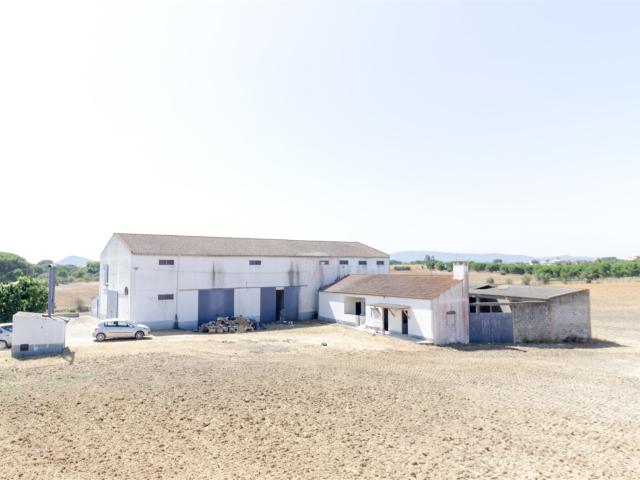 Fazenda com 51.200 m2 com habitação e armazém 514m² Aveiras De Cima