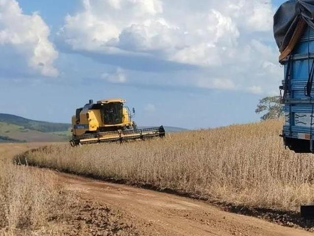 Fazenda com 57 alqueires plantando 46 Solo roxo alta fertilidade, Engenheiro Beltrão PR