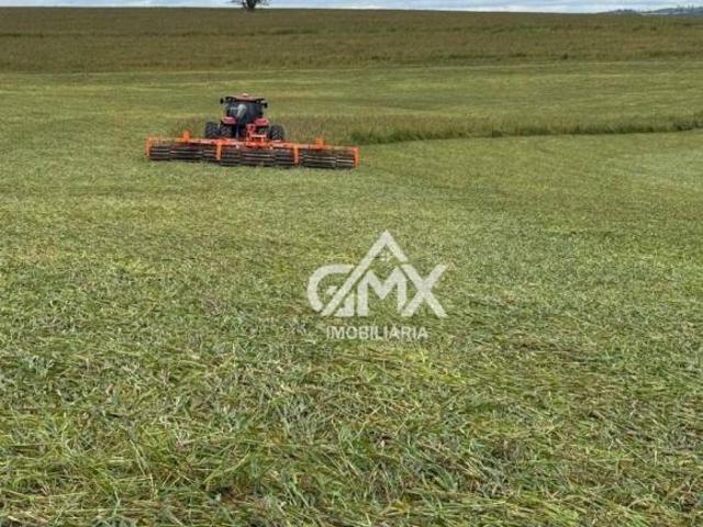 Fazenda com 5 dormitórios à venda, 2565200 m² por R$ 25.000.000,00 Loteamento Residencial Vale Ver