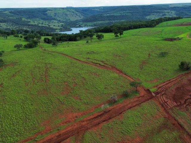 FAZENDA COM 65HEC NA LAGOA DE NOVA PONTE TERRA VERMELHA