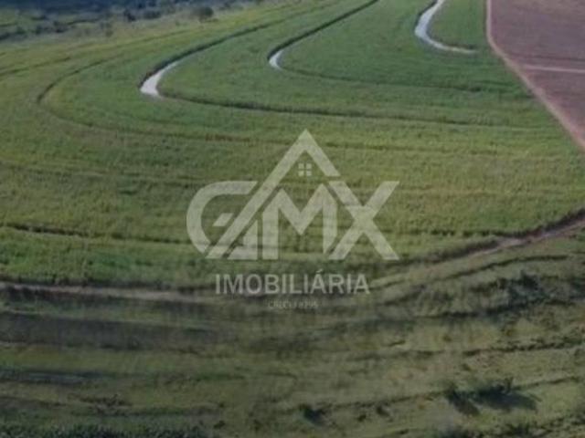Fazenda com 6 dormitórios à venda, 3146000 m² por R$ 26.500.000 Rural Jaguapitã/PR