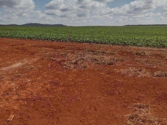 FAZENDA COM 800HEC PRA IRRIGAÇÃO